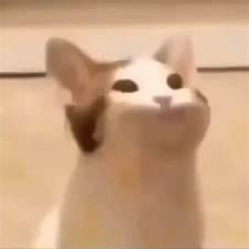 Areeba Sami Areeba Github - Download Professional Light Pattern | Desktop