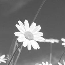 Github Zixing131 Mibluetoothunlocker Mibluetoothunlocker - Best Minimal Textures in High Resolution