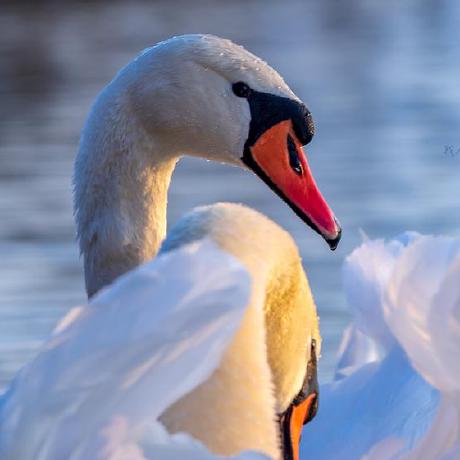 Github Thesky Cdn Exhibition - Abstract Illustration Collection - 8K Quality