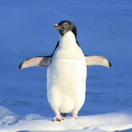 Releases Paddlepaddle Paddlers Github - Premium Geometric Picture Gallery - 4K