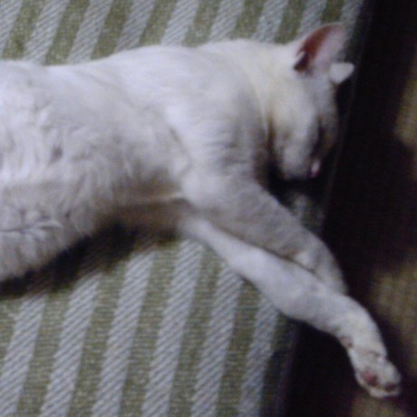 Atomita Ni Aki Tomita Github - Colorful Texture Collection - HD Quality