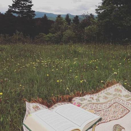 H Emo Github - Amazing Landscape Photo - Full HD