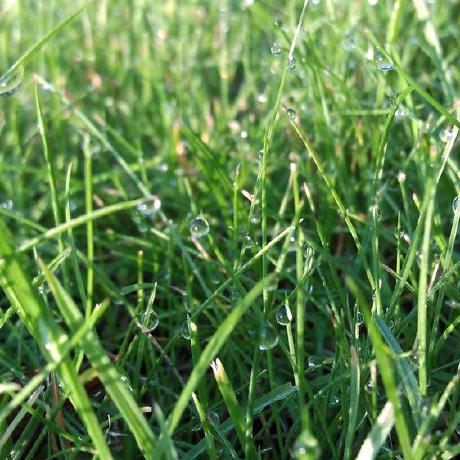 Freeknortier Freek Nortier Github - Creative Mobile Colorful Arts | Free Download