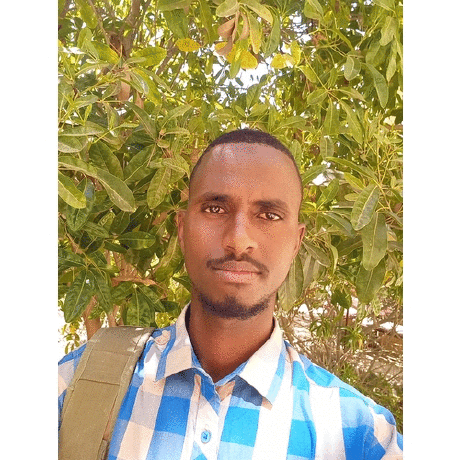 Moussaart Taha Moussa Github - Space Design Collection - Mobile Quality