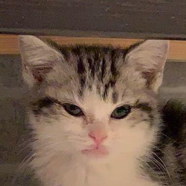 Code Problem Issue 1 Voicebeer Ms Mda Github - 4K Mountain Pictures for Desktop