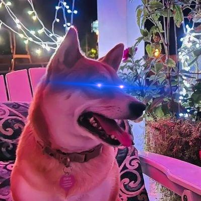 Github Dog Kun Mcodw - Amazing HD Nature Wallpapers | Free Download