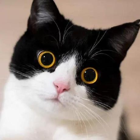 Charl Sudo Github - 4K Geometric Pictures for Desktop