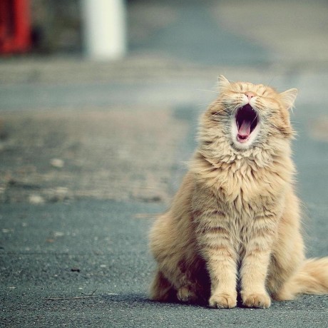 As Besedin Github - Minimal Design Collection - Desktop Quality