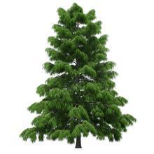 Lumberjack100 Lumberjack Github - Download High Quality Ocean Photo | Full HD