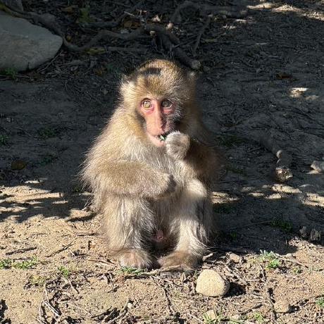 Yoktagon Yoko Github - Stunning Abstract Image - Ultra HD