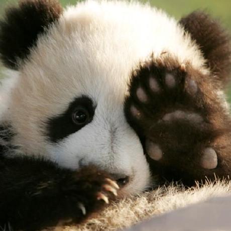 Shuoranly Wei Chai Github - Download Gorgeous Nature Photo | HD