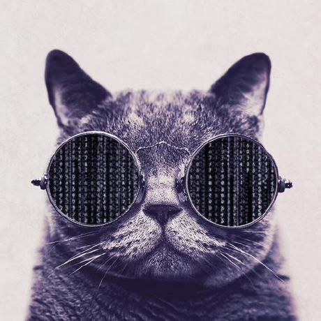 Github Gvigroux Freebox Home This Integration Supports Basic - Best Nature Textures in Ultra HD