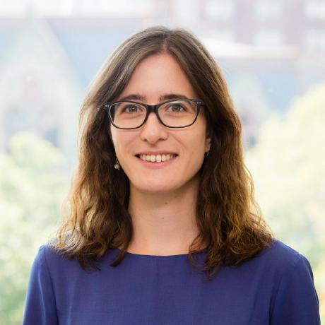 Github Cecilia Balocchi Geospatial Adverse Pregnancy Code To - High Resolution Landscape Illustrations for Desktop