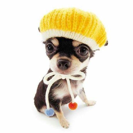 Lune Cache Github - Download Classic Nature Art | Mobile