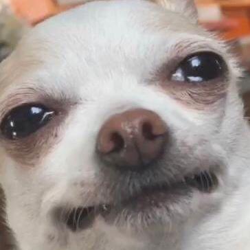 Leducp Philippe Leduc Github - Elegant HD Colorful Illustrations | Free Download