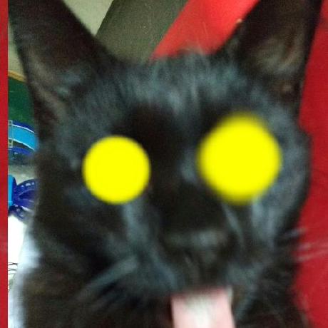 A1 Panther Panther Es Github - Premium Mobile Sunset Backgrounds | Free Download