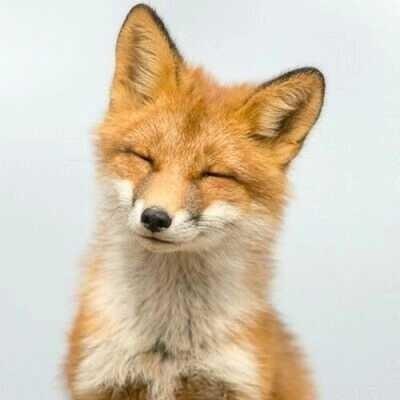 Soya Nakamura Github - Vintage Images - Amazing Mobile Collection