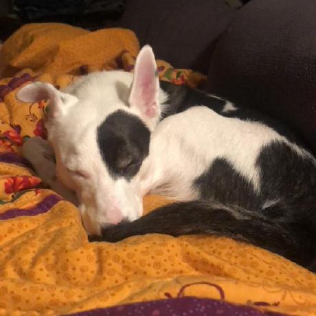 Cokerf Oluwafemi Coker Github - 4K Gradient Wallpapers for Desktop