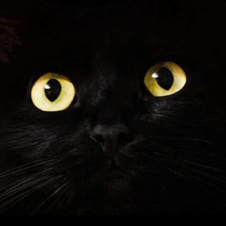 Abiya Varghese Github - Download Stunning Space Picture | High Resolution