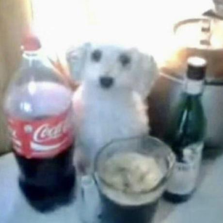 Iceeyes Github - Landscape Picture Collection - Full HD Quality