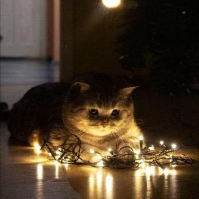 Github Stefano Bosio Aml - Modern Sunset Design - Mobile