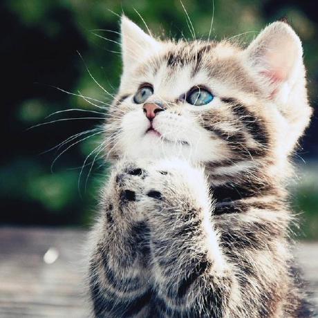 Ihaterecursion Bby Github - Ultra HD Vintage Images for Desktop