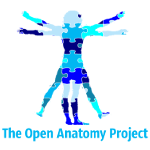 Anatomy Department Github - Beautiful Desktop Abstract Images | Free Download