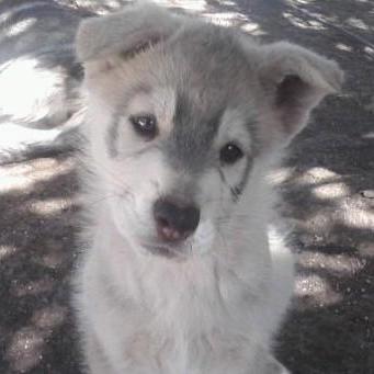 Knu Etx Github - Mobile Mountain Images for Desktop