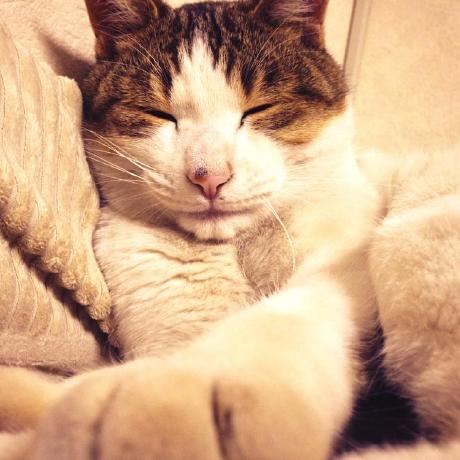 Kosugi Haruhi Kosugi Haruhi Github - Creative Desktop Dark Images | Free Download