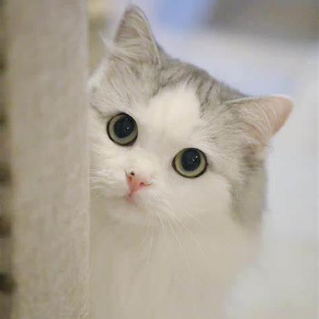 Unable Teenager Github - Vintage Art Collection - 8K Quality