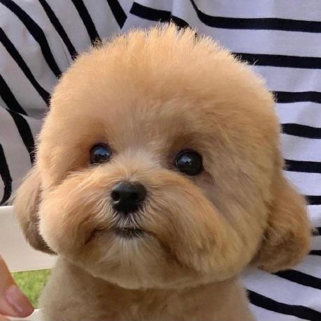 Donghwan Rho Github - Ultra HD Sunset Illustrations for Desktop