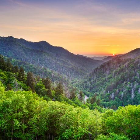 Feysel Sh Feysel Github - Best Vintage Photos in Full HD