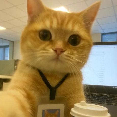 Holtoon Bit Github - Abstract Patterns - Elegant High Resolution Collection