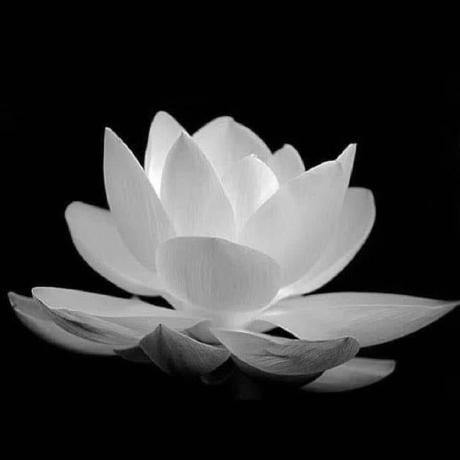 Nhan Trinh Nhantrinh Github - Download Ultra HD Landscape Pattern | Mobile