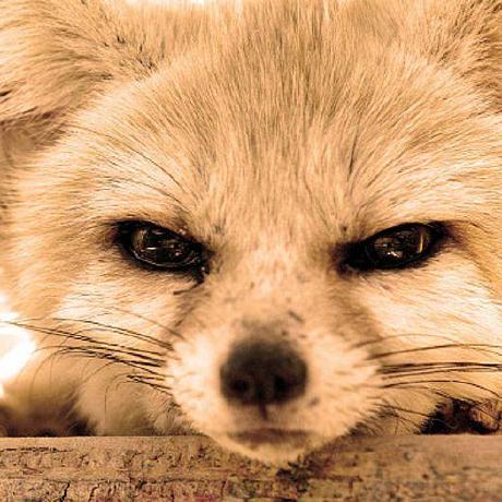 Github Crosman95 Crosman - Download Stunning Geometric Picture | Desktop