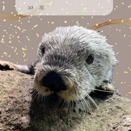 Yama9845 Yamada Github - Ocean Pictures - Stunning Mobile Collection