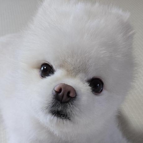 Jaeho Github Github - Light Photos - Professional Ultra HD Collection