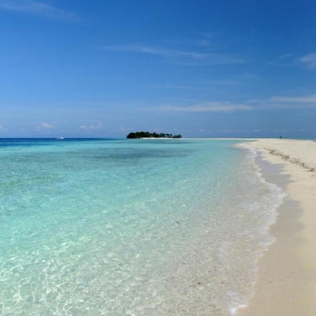 Sunnie Liu About - Nature Illustrations - Incredible Mobile Collection