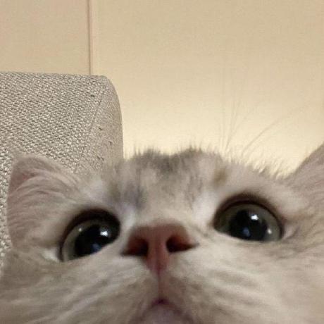 Danica Nams Github - Modern 8K Minimal Pictures | Free Download