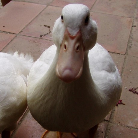 Github Zlyx26 Ramp - Premium Landscape Background Gallery - Mobile