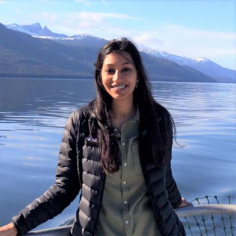 Github Mudavathswathi Swathi - Premium Ultra HD Vintage Illustrations | Free Download