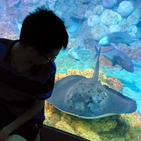 Ariongresser Arion Github - Premium Geometric Picture Gallery - Ultra HD