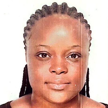 Chidimmaidika Chidimma Idika Github - Premium City Illustration Gallery - 4K