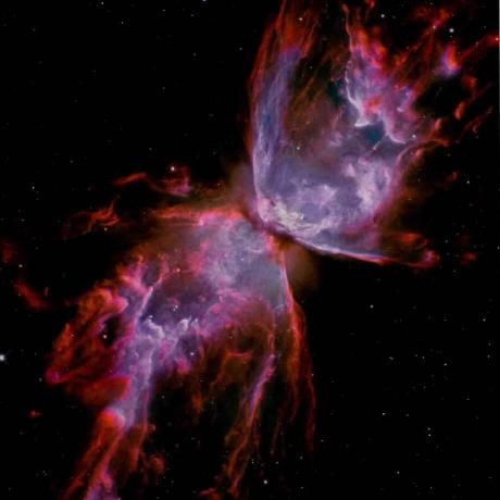 Github Alan Turing13 Newtonworksession - Nature Photo Collection - Ultra HD Quality