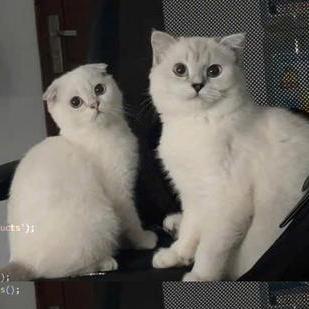 Github Imikes Dp Ov Chip - Mountain Photo Collection - High Resolution Quality