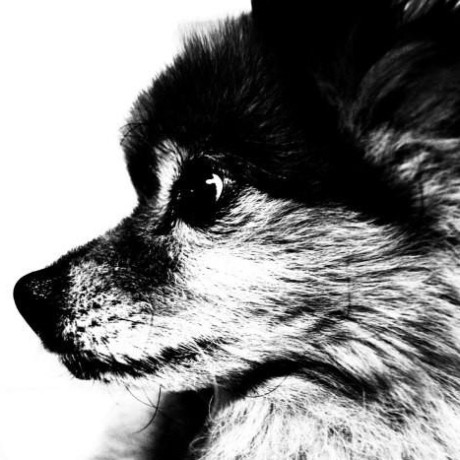 S Kumano S Kumano Github - Minimal Image Collection - 8K Quality