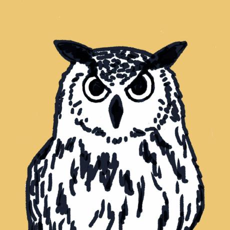 K Imamura Github - City Wallpaper Collection - High Resolution Quality