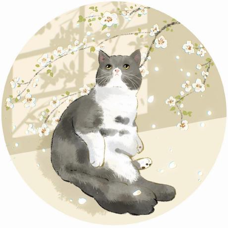 Github Svuolli Dawn - Full HD Abstract Pictures for Desktop