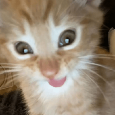 Umka Ness Dmitry Melnik Github - 4K Dark Textures for Desktop