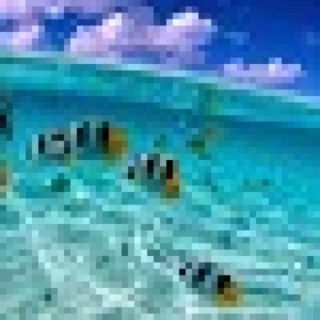 Github Fedgds Du An Mau Final - Download Creative Nature Pattern | Retina